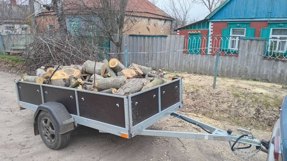 Спил деревьев Срежем дерево за дрова