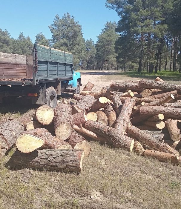 Продам дрова різні породи