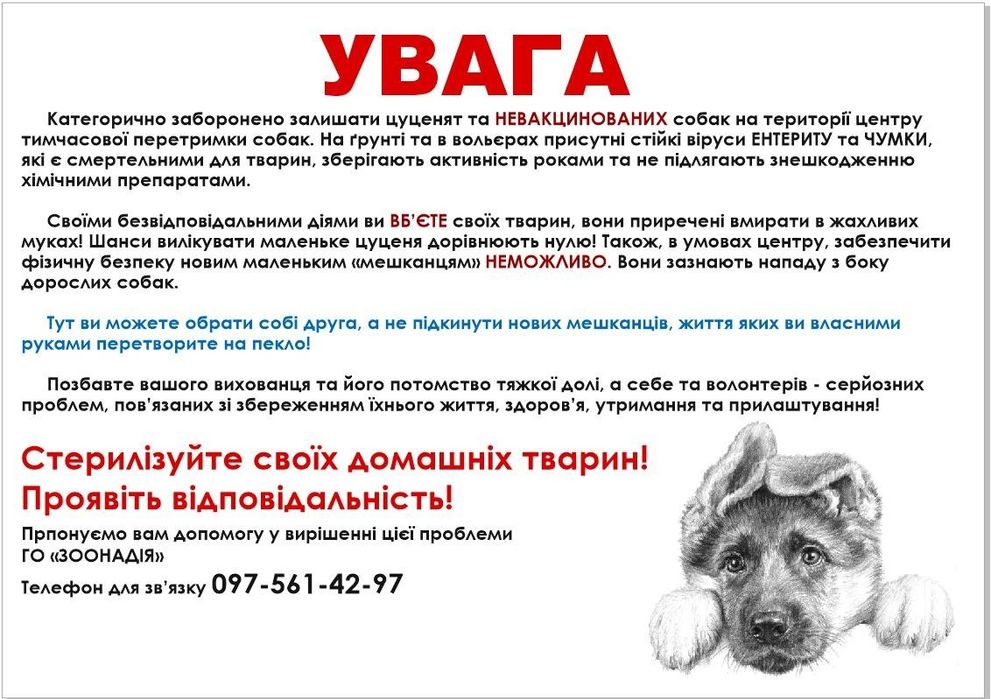 Собачки в хороші сім'ї