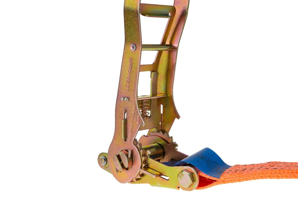 Pas transportowy z grzechotką ERGO 6m 8m 10m 5T 50mm mocny 1908