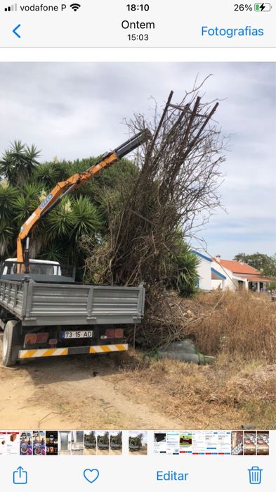 Remoçao de arvores caidas