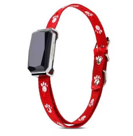 (NOVO) Localizador Rastreador Coleira GPS para Cão Gato