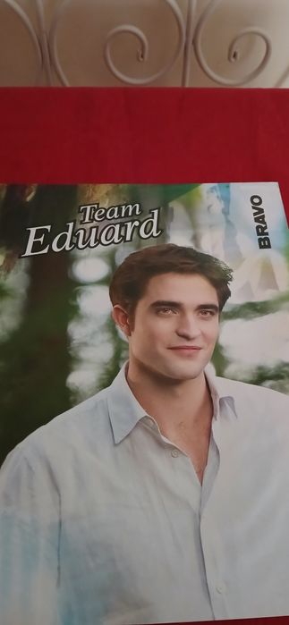 Poster Team Jacob/Team Eduard