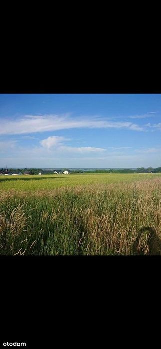 Działka z pięknym widokiem