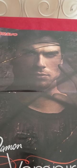Poster Damon The Vampire