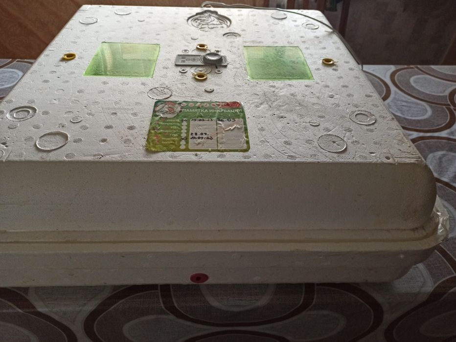 Інкубатор інфрачервоний разом з терморегулятором.