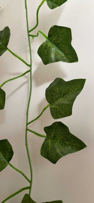 Sztuczny bluszcz 50 m na ścianę balkon taras dekoracja 50 metrów