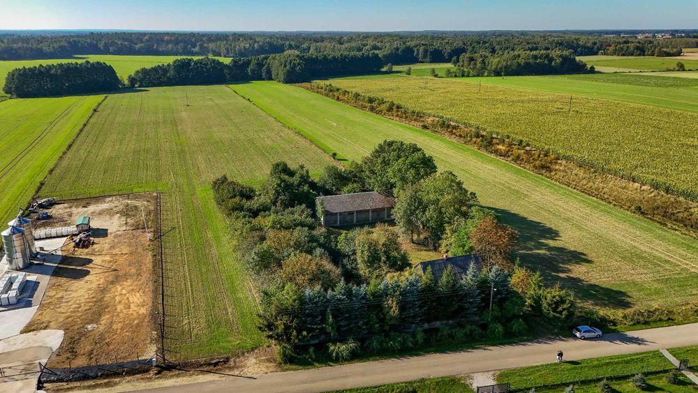 Siedlisko 2,05 ha przy asfaltowej drodze – prąd, woda, zabudowania | Wola Kuźniewska, gmina Wielgomłyny - Widok 4