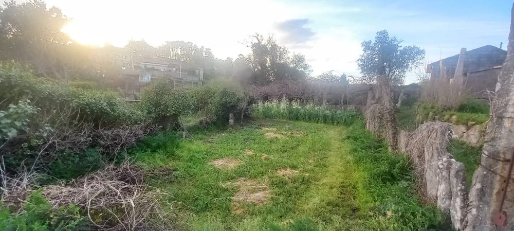 Arrendo terreno agrícola