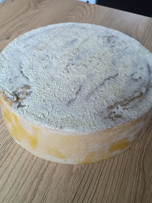 Wosk pszczeli z przydomowej pasieki
