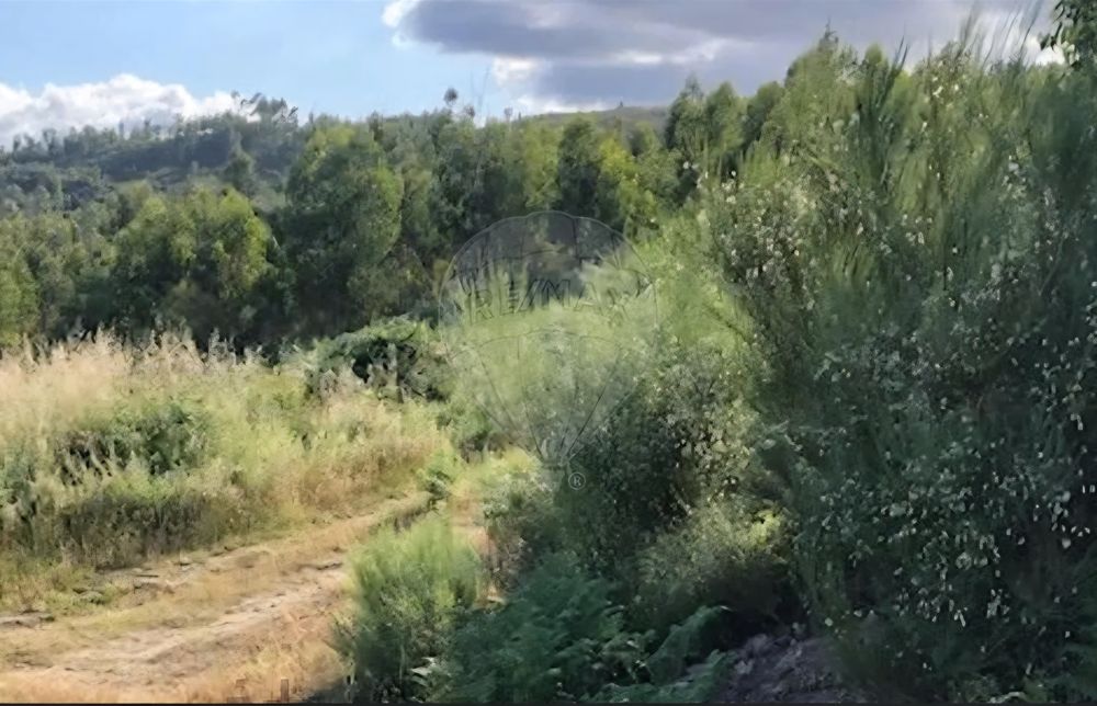 Terreno à venda em São Pedro do Sul
