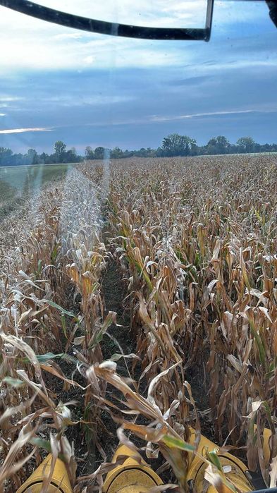 DZIAŁKA ROLNA 3,21h Cienia Druga
