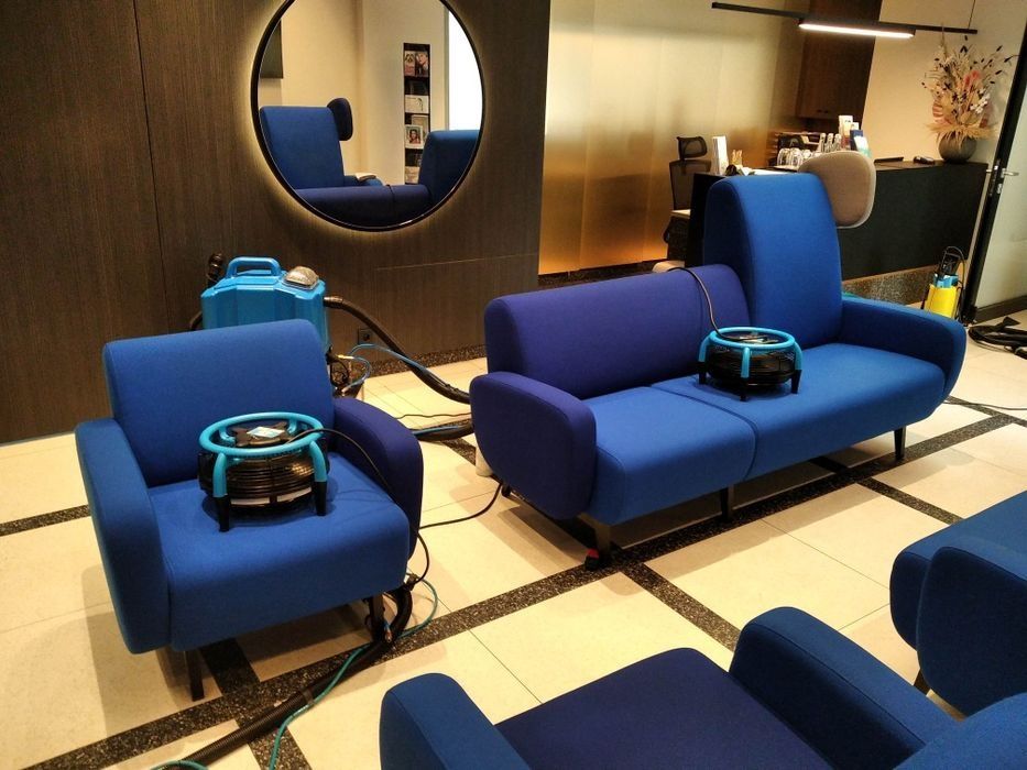 Pranie Suszenie Tapicerki Meblowej Pranie Wykładzin samochodów