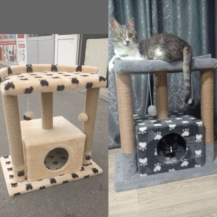 Будинок для кота, кішки , кошеня. ког