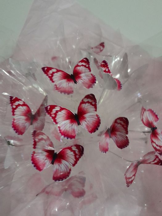 Букети з метеликів.