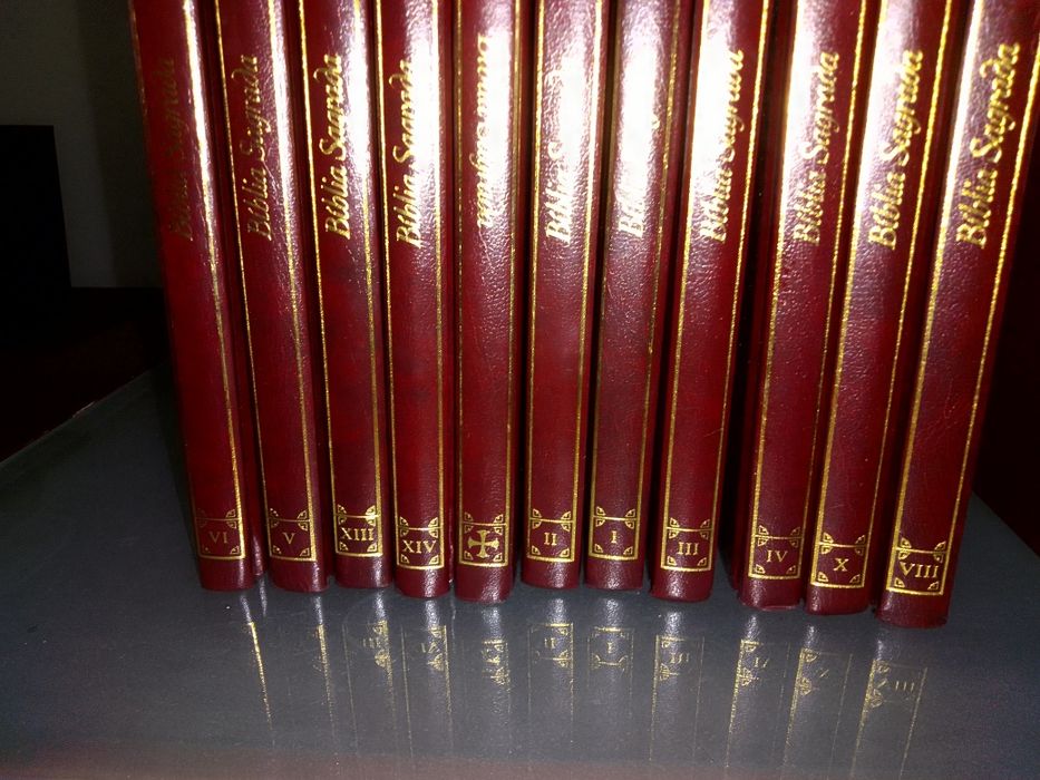 Bíblia Sagrada em 12 volumes