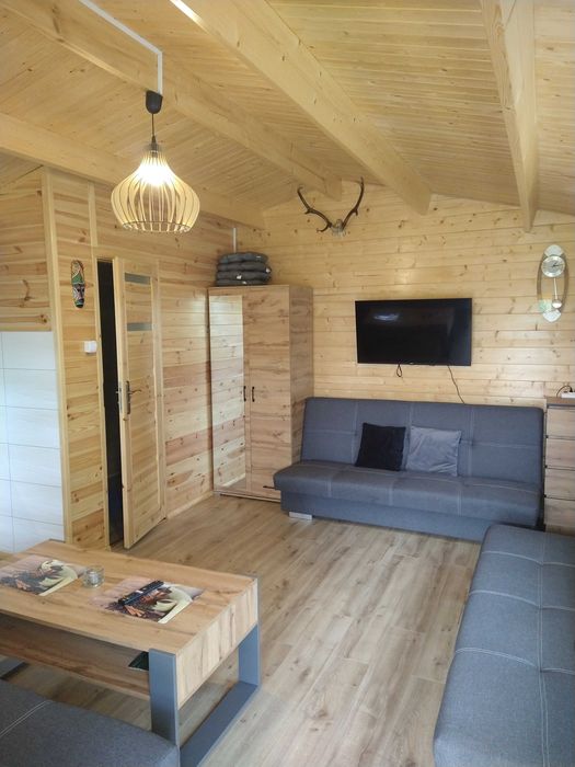 Wynajmę domek drewniany nad jeziorem w Powidzu