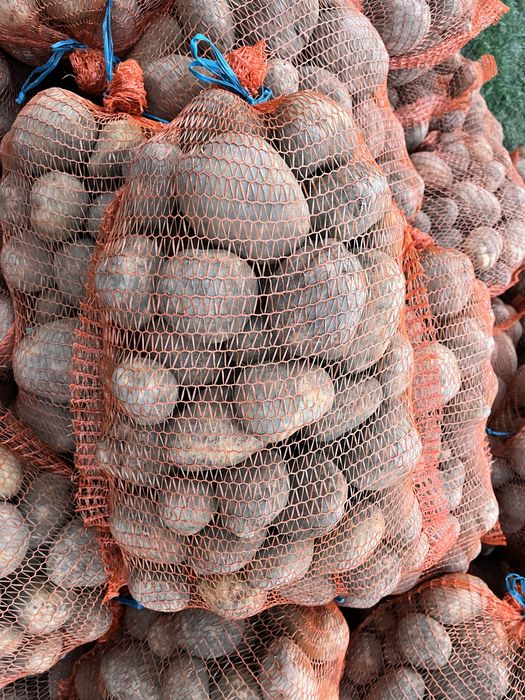 Ziemniaki Jurek worki 15kg