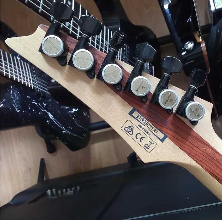 Ibanez RGDIX6 Iron Label 6 strun rgd elektryczna gitara