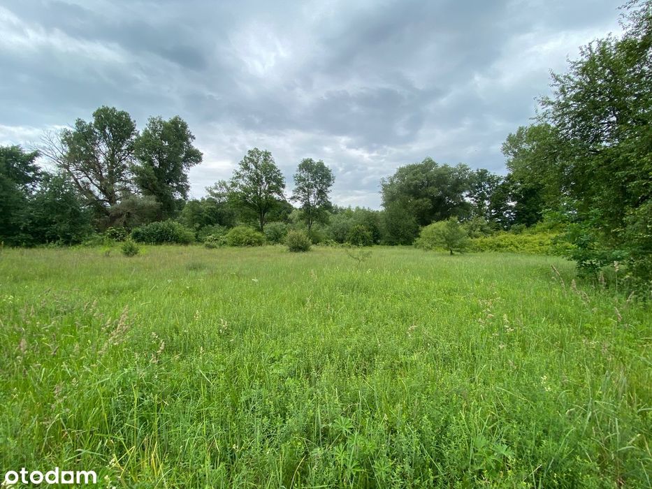 Działka z MPZP blisko Bugu | Drohiczyn | 3083 m²