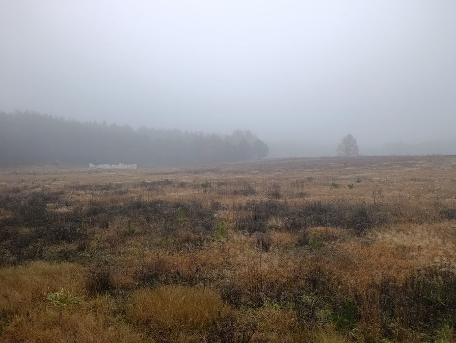 Działki budowlane z wz i mpzp - Ugoszcz (w pobliżu lasu)
