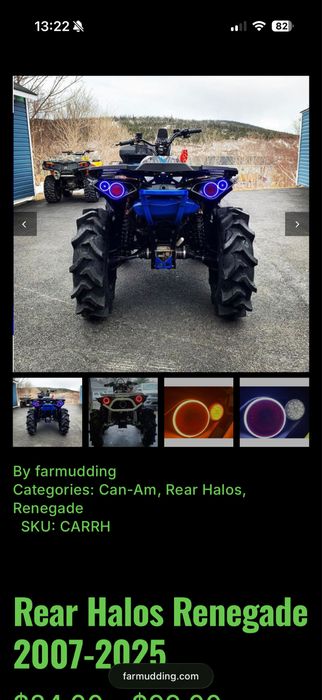 Ringi can am renegade