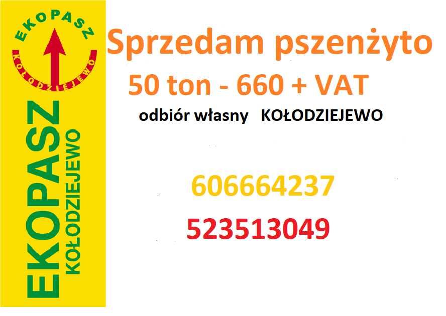 Sprzedam Pszenżyto