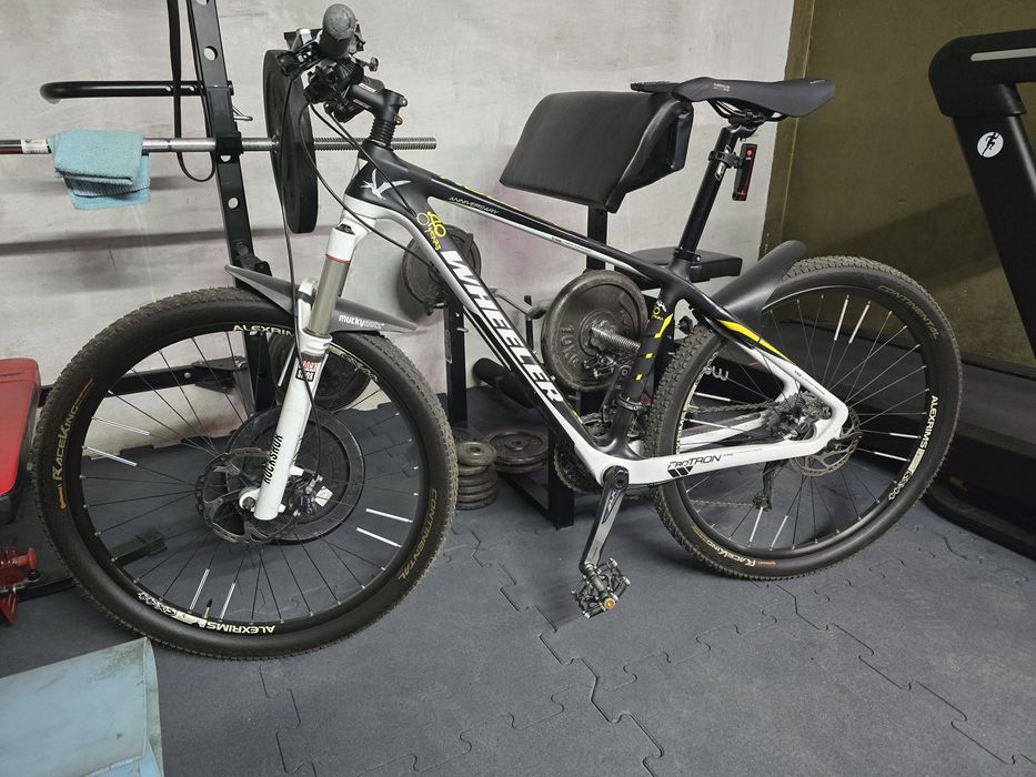 Rower Wheeler Protron Anniversary carbon