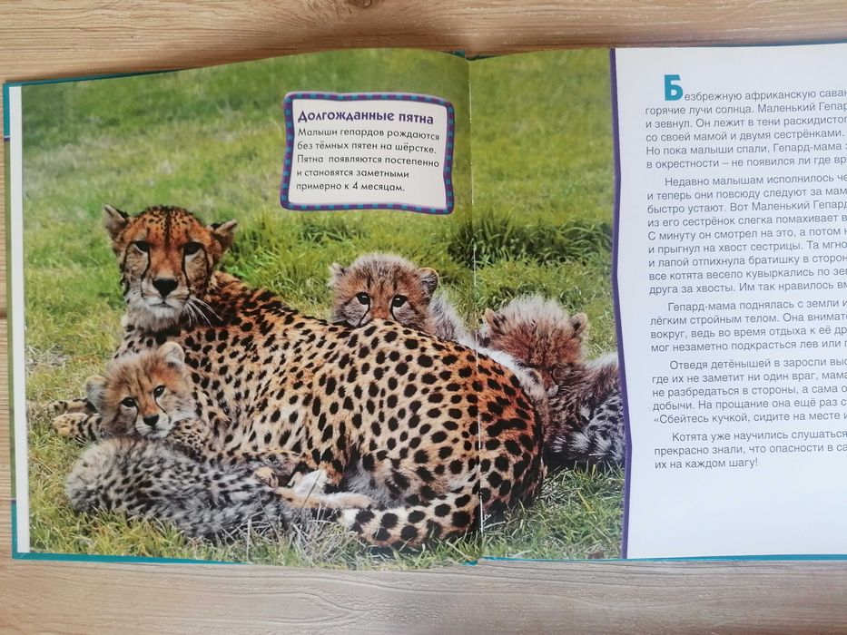 Животный мир. Reader's Digest.(14книг) (сер. Первое знакомство).