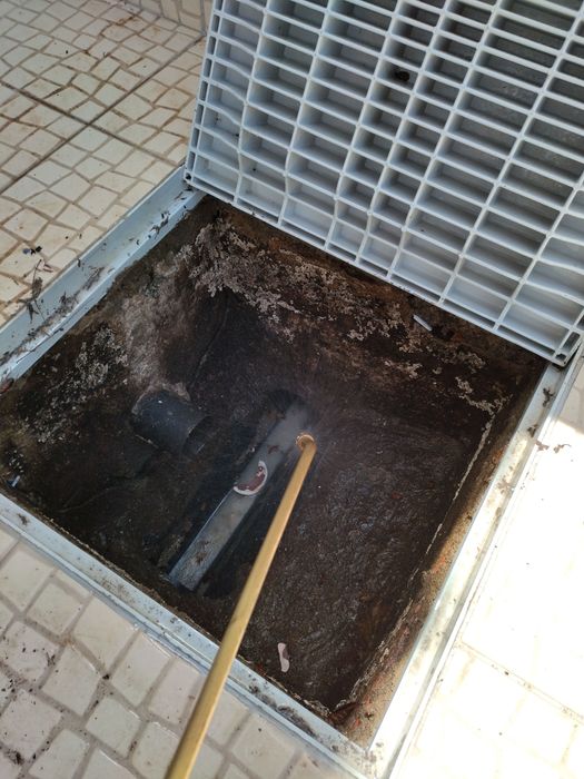 Desinfestações 24h