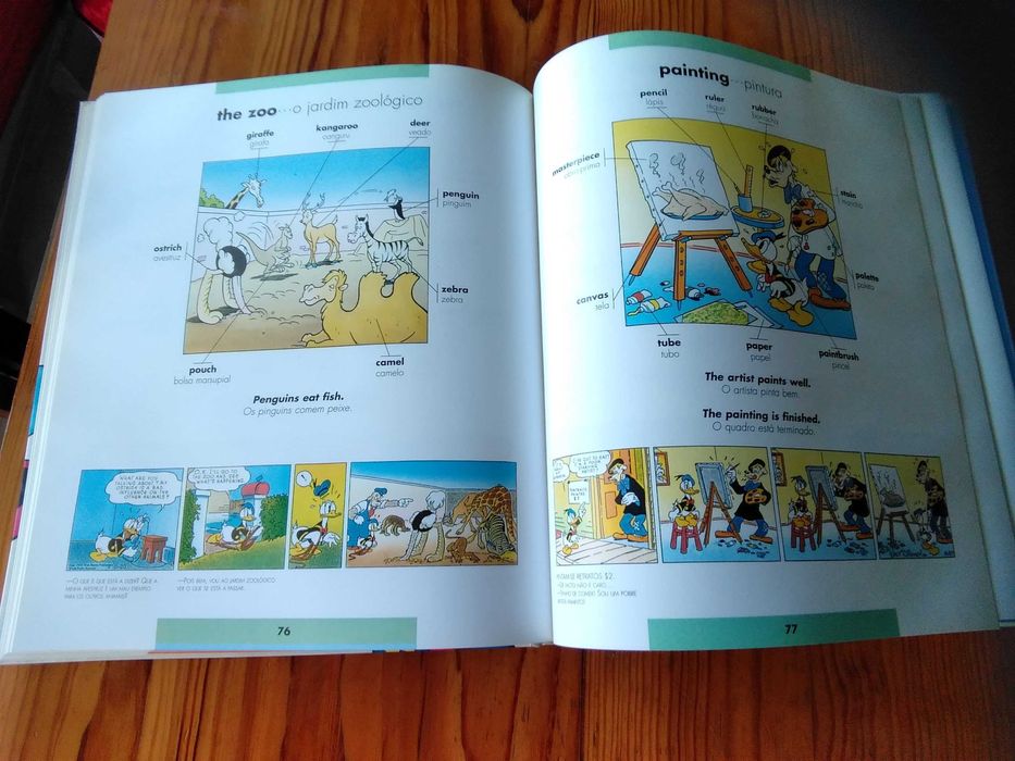 Dicionário Ilustrado Inglês