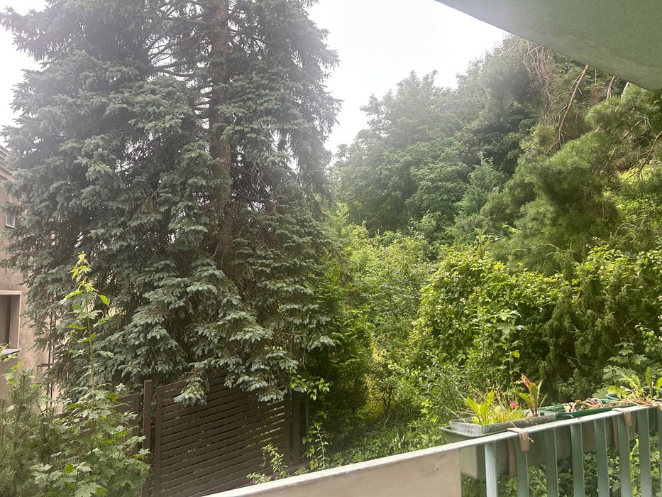 Wynajem mieszkania 3 pokojowe dla studentów