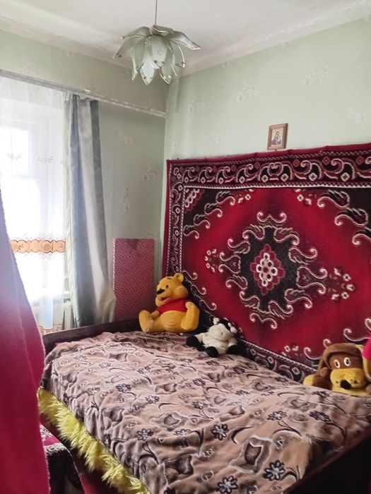 Продаж будинку +флігель і гараж Хіммістечко