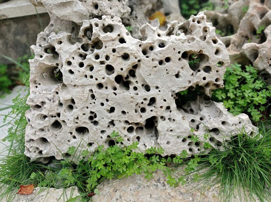 Pedras para decoração de jardim