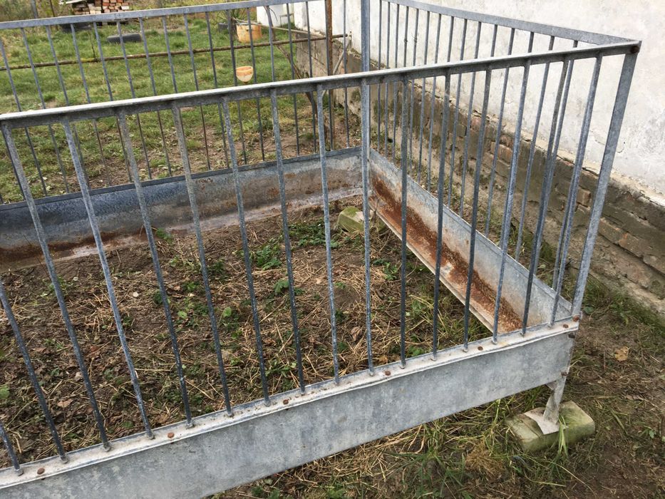 Клітка для свиней