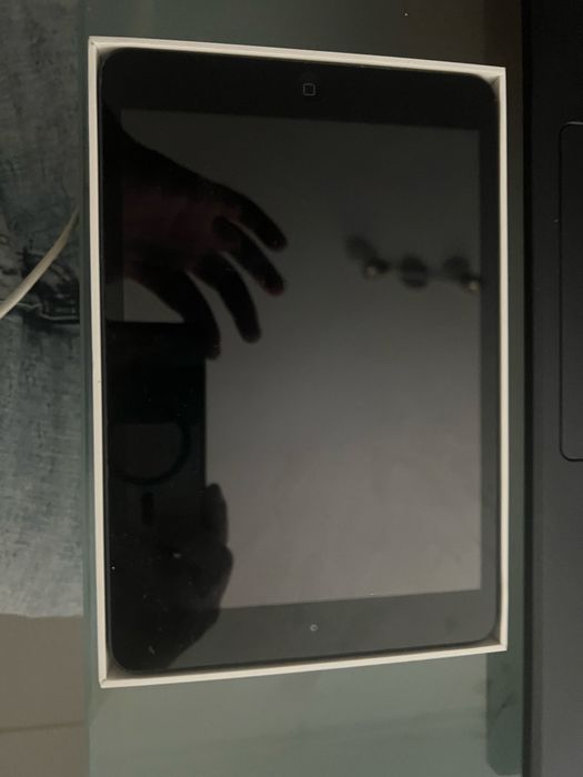 Ipad.        mini