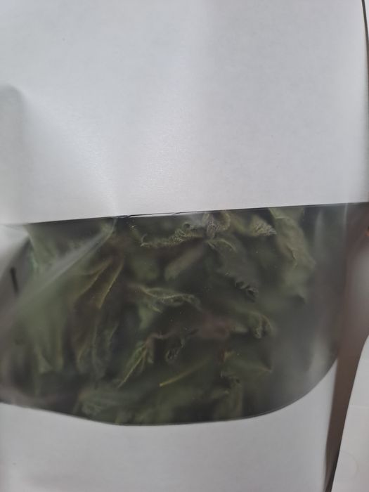 Pokrzywa z melisa susz mix 40g