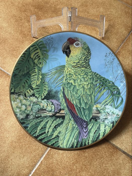 Pratos Colecao - Joias Vivas da Floresta Tropical