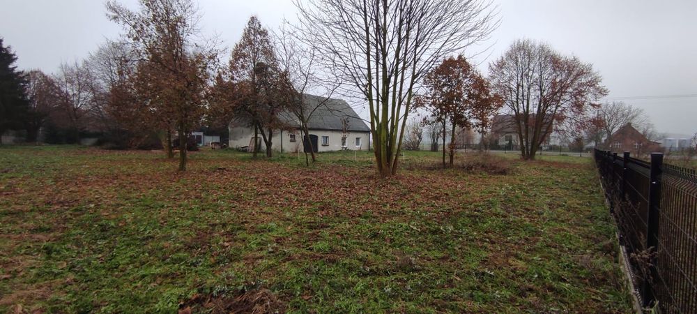 Karczowanie działek, wykaszanie, wycinka drzew, mulczer