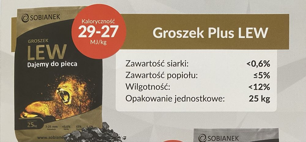 Groszek Sobianek Lew