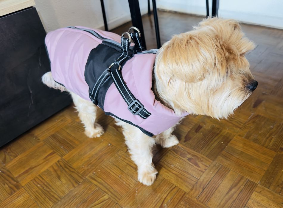 Casaco de Inverno para Cão de Raças Pequenas a Médias
