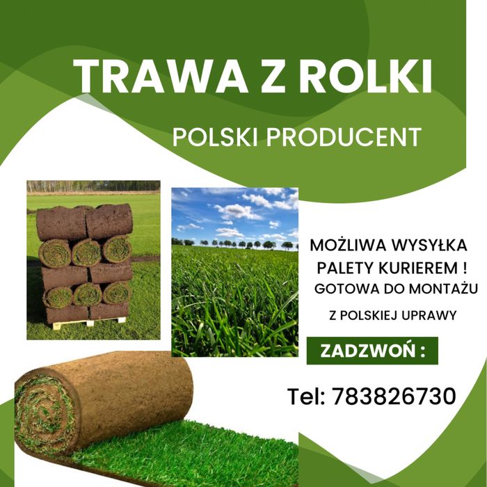 Trawa z rolki, sprzedaż, transport pod dom, polska produkcja