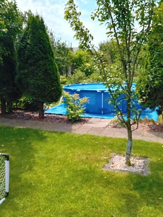 Atrakcyjna Działka ROD