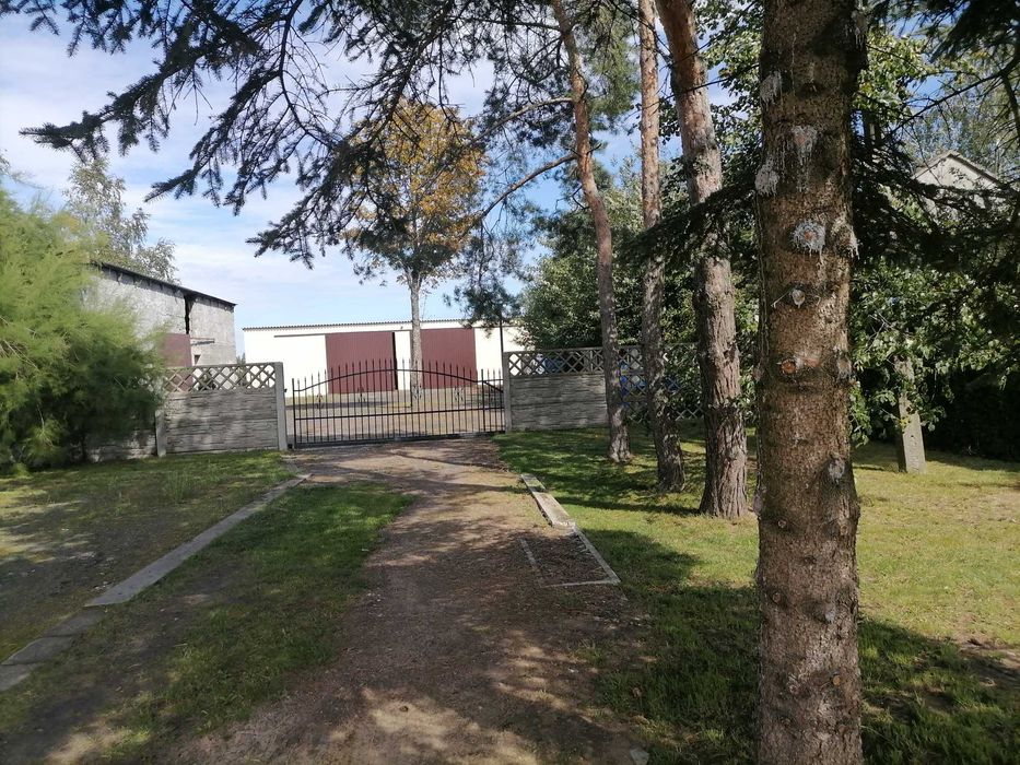 Zdjęcie 5