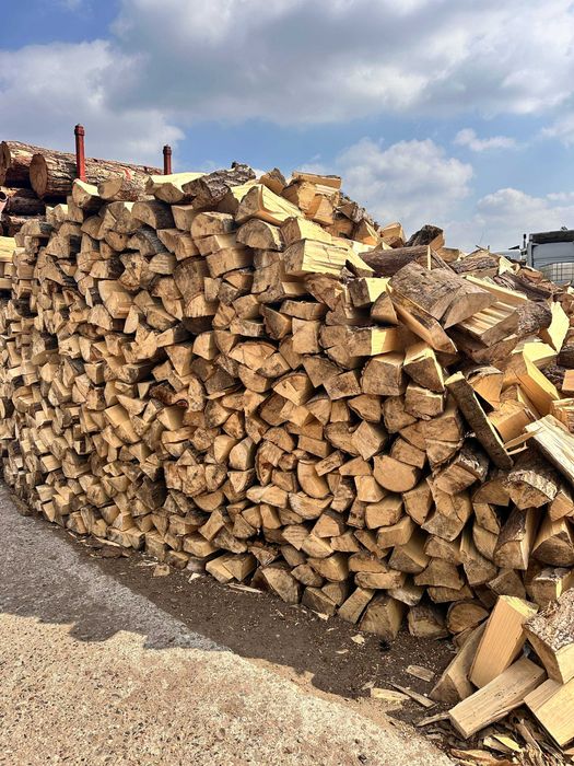 Drzewo kominkowe / Drewno kominkowe / Drewno / opał