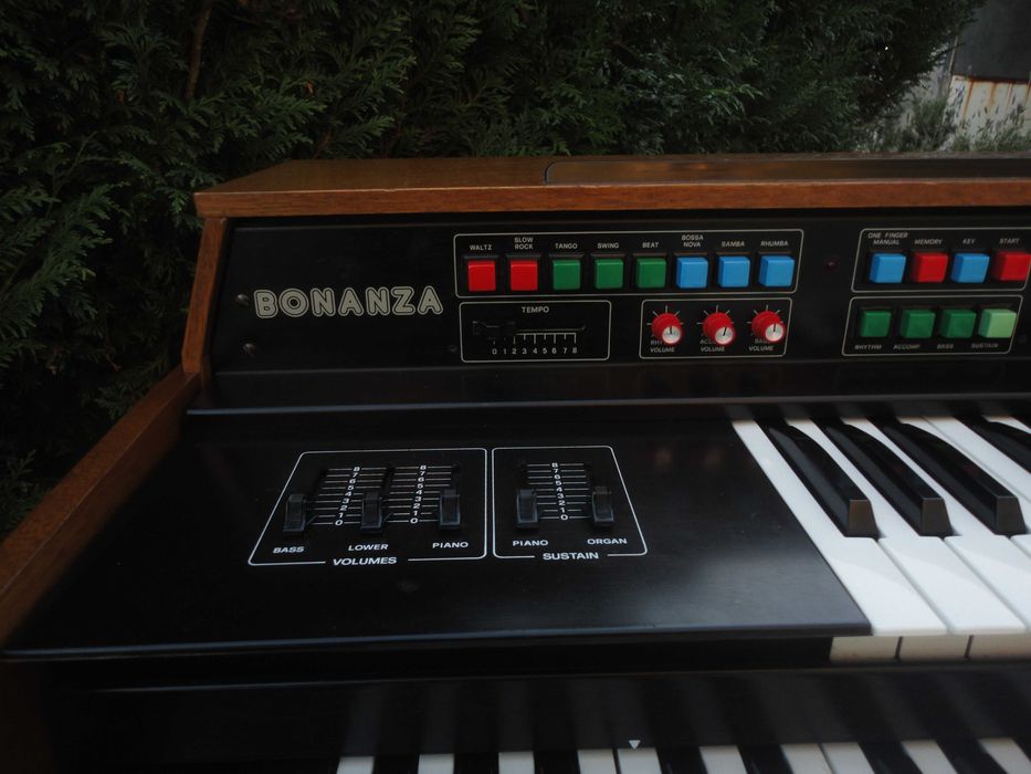 Orgão hohner international bonanza de 1980