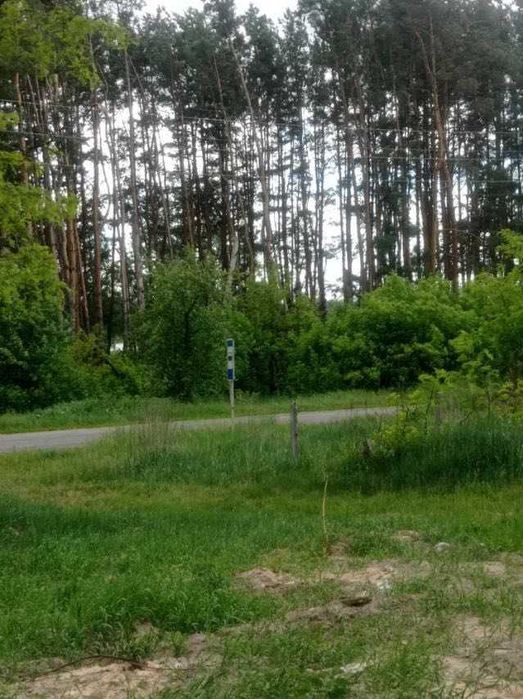 Продається земельна ділянка для будівництва з мальвничим виглядом на озеро і ліс село ГАВРОНЩИНА