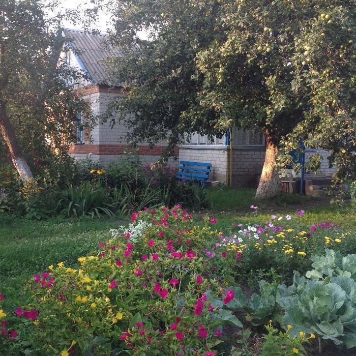 Продам будинок в с Аркадьевка, с Аркадіївка