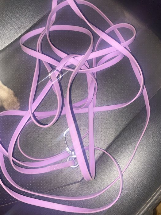 Длинный поводок для собак прочный