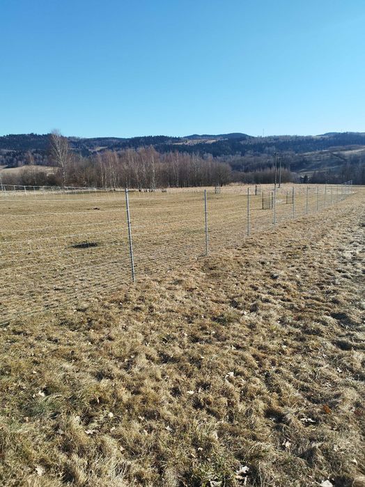 estetyczne solidne ogrodzenie budowlane siatka leśna